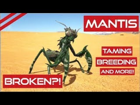 Mantis | Broken Meta | Taming, Breeding and How to Use