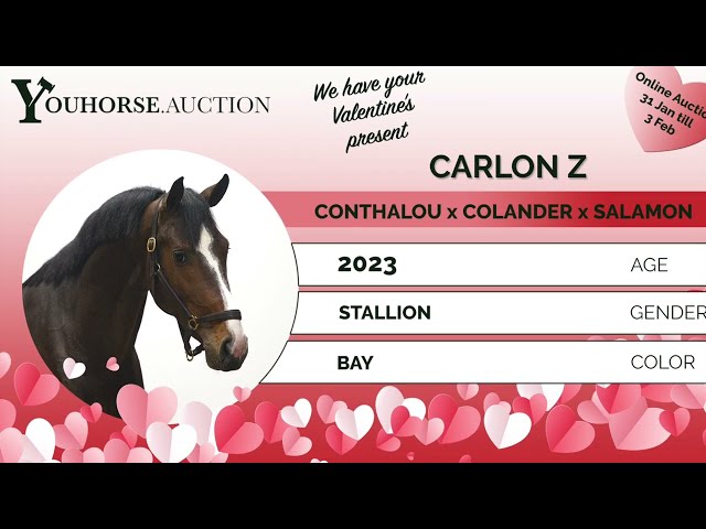 Carlon Z