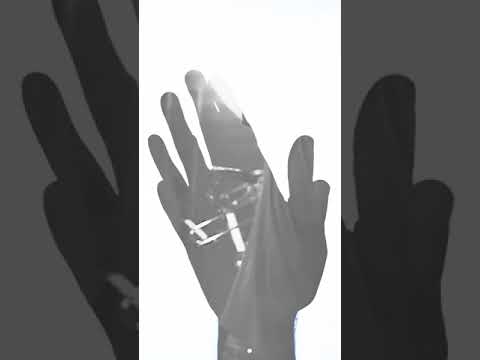 Le Bon Nob - Freestyle Inox (Version Longue)