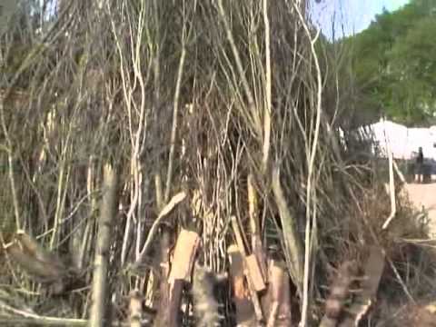 WOCHEN - INFO NR.81  VOM 24.04.11.avi