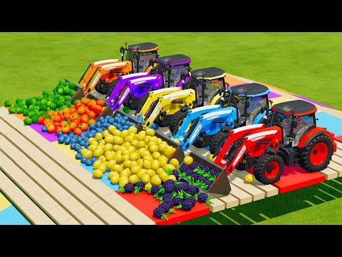 LOAD & TRANSPORT FRUITS WITH LAMBORGHINI AND McCORMICK TRACTORS - Farming Simulator 22