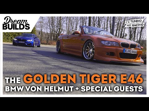 DreamBuilds - The Golden Tiger BMW E46 von Helmut + special guests