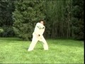 Shaolin Wu Xing Quan (Five Animals Boxing)