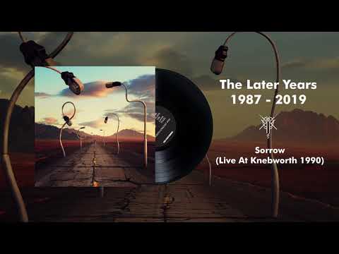 Video thumbnail for Sorrow [Live at Knebworth 1990]
