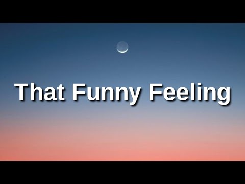 Bo Burnham - That Funny Feeling (Lyrics)