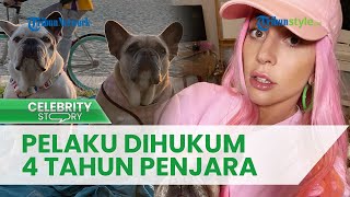 Buntut Kasus Perampokan Bersenjata Anjing Lady Gaga, Pelaku Dihukum 4 Tahun Penjara