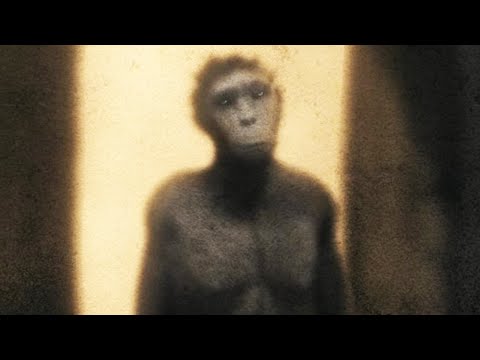 The Mystery of Homo Naledi