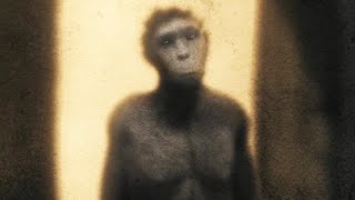 The Mystery of Homo Naledi MQDEFAULT Thumbnail