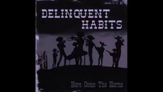 Delinquent Habits - Adam 12 Slowed