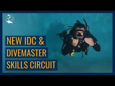 New PADI IDC and Divemaster Skills Circuit 2024 - Neutrally Buoyant