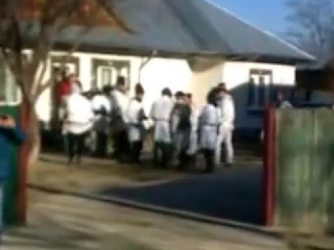 PLUGUL  MARE  LA FOSTU-VICEPRIMAR  DIN   ADANCATA