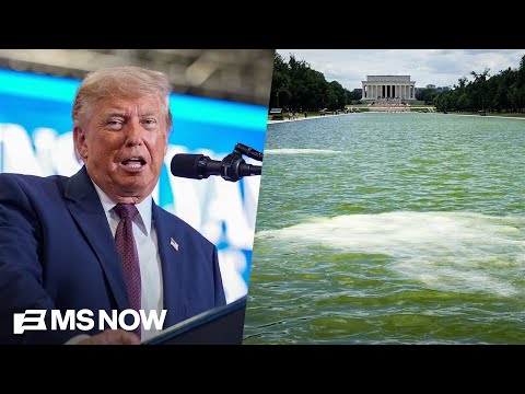 Trump ‘set the stage for his own failure': GOP strategist blasts reflecting pool disaster