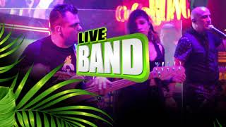 Let 39 s enjoy the live band at Coco Bongo Snack Bar  amp  Party!