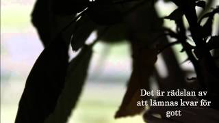 Patrik Isaksson &amp; Bandet - Under mitt tunna skinn (Melodifestivalen 2008) - Lyrics