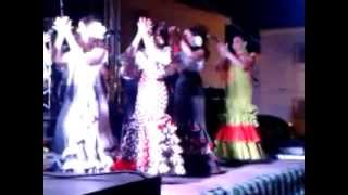 preview picture of video 'Grupo de baile de Alicún de Ortega'