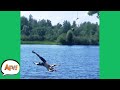 FLAILING Into The FAIL Funny Fails AFV 2020