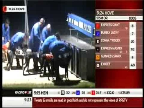 CORAL GREYHOUND OLYMPIC - HEAT 4- Trap 3 slow to load Exocet misses his break