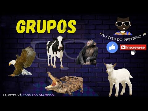 PALPITES JB 06/01/2021 PARA TODAS AS LOTERIAS