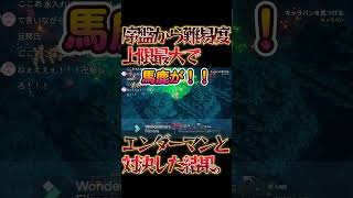 マイクラダンジョンズでエンダーマンと接敵した結果。