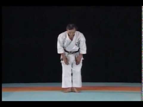 Kata Niseishi - Wado Ryu (karatevietnam com)