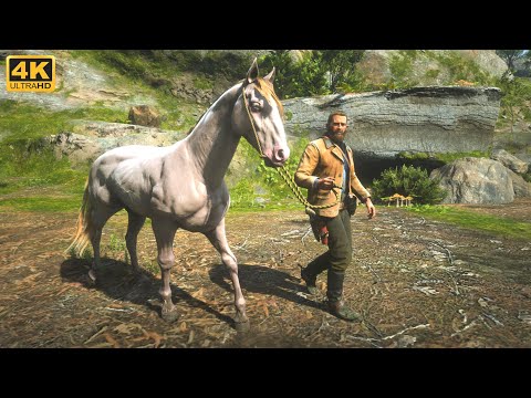 RDR2 - Domando o lindo cavalo ANDALUZ PERLINO🥰🐎 / PS5
