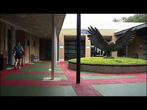 Hillsborough Community College - video