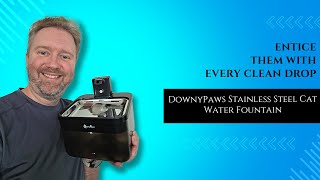 Your Cat Deserves THIS! 🐱💧 DownyPaws Stainless Steel Water Fountain Review