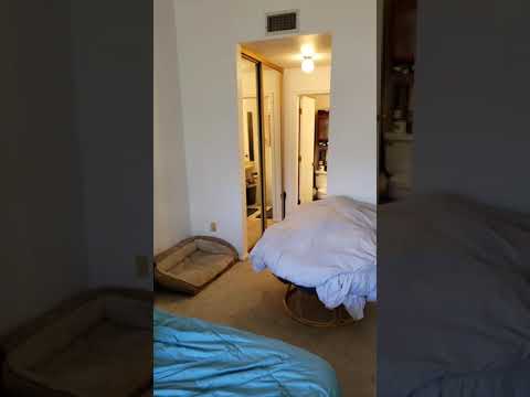 Peaceful Stay, Prime Access property video