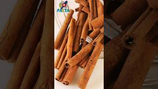 Download lagu Did you know? Facts about the health benefits of cinnamon mp3 Download lagu Did you know? Facts about the health benefits of cinnamon mp3