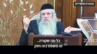 הגה״ח הרב ווכטר שליט״א | להאמין שהעולם פועל בדרך ניסים (הרב אברהם מנחם מענדל וכטר) - התמונה מוצגת ישירות מתוך אתר האינטרנט יוטיוב. זכויות היוצרים בתמונה שייכות ליוצרה. קישור קרדיט למקור התוכן נמצא בתוך דף הסרטון