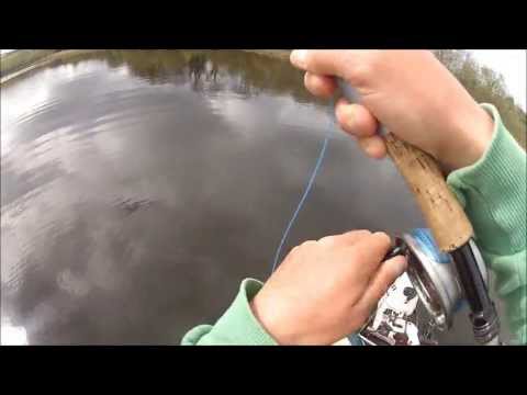 Pike Fly Fishing Ireland 3