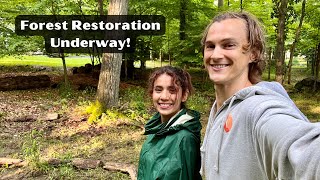 Look What We Found! Restoring our Forest, Removing Invasives, Planting Native Plants - How We did it