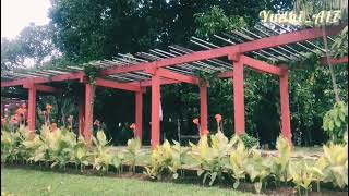 Download lagu Jalan santai di taman wiladatika mp3