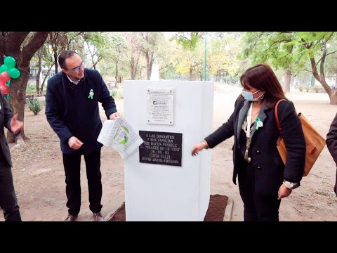 El CUCAI celebró el Día Nacional de la Donación de Órganos en la plaza San Bernardo