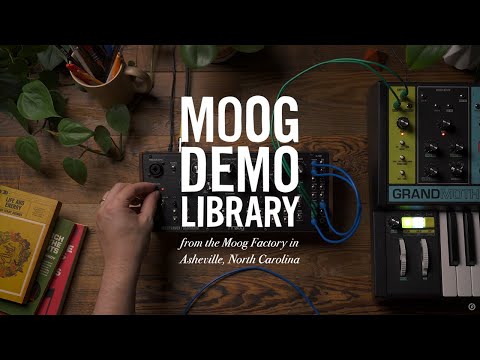 Синтезатор аналогового моделювання MOOG SPECTRAVOX