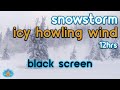 [Black Screen] Snowstorm and Icy Howling Wind | Blizzard Sounds | Wind Sounds for Sleeping