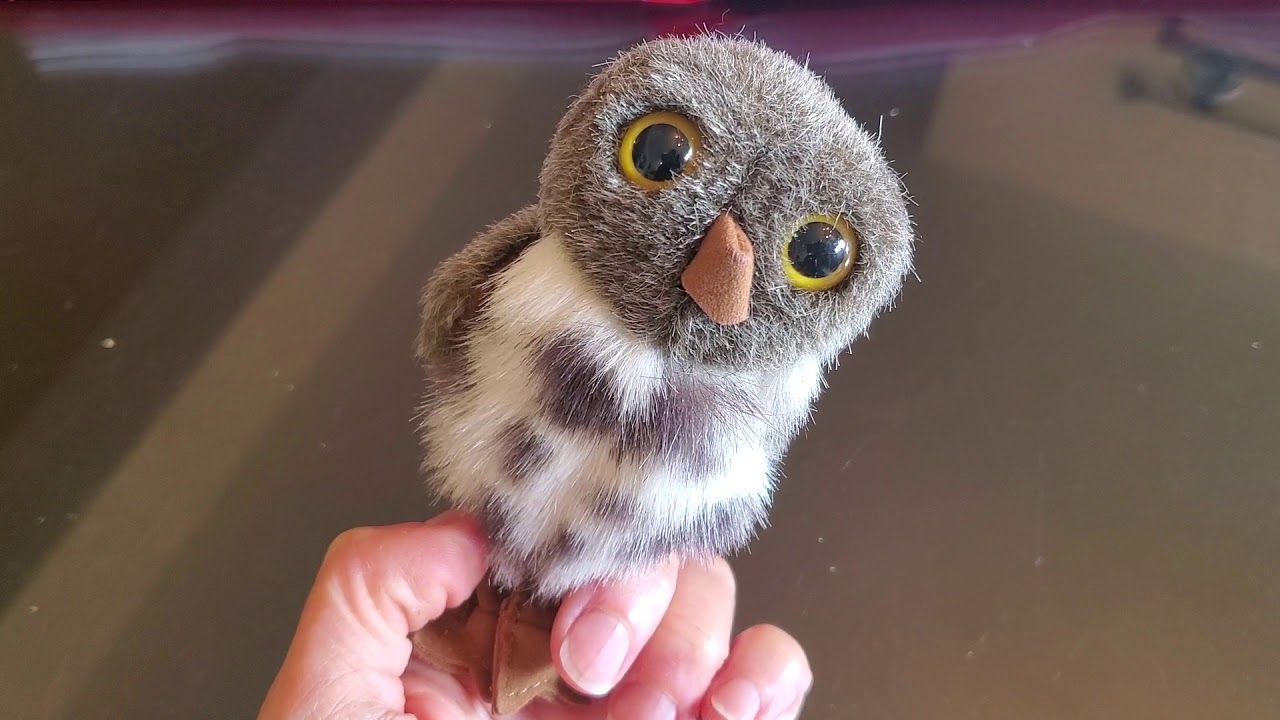 Grade 1 Fundations Unit 9 Test