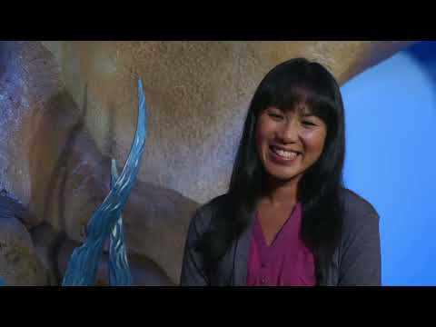 Sofia the First The Floating Palace