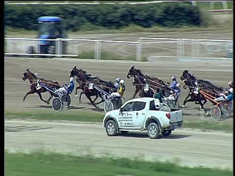 Trotto 08/06/2019 - 2ª corsa