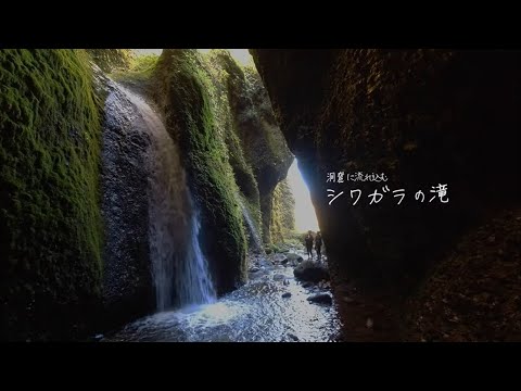 上山高原　絶景「シワガラの滝」に行ってきました