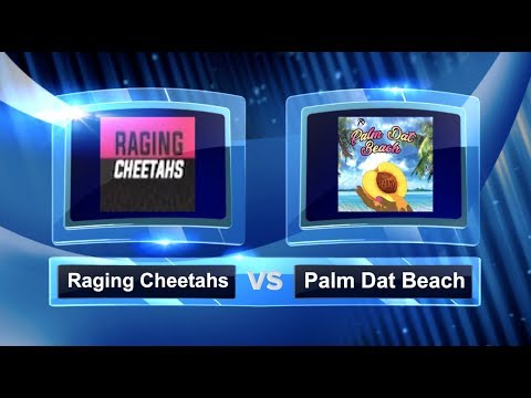 Raging Cheetahs vs Palm Dat Beach - Pool Play - Women’s Palm Beach Kickball Open #PBKO2019