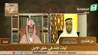 [3611] آيات الله في خلق الإبل - صالح الفوزان