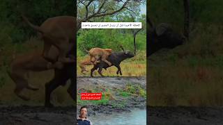 اللحظة الأخيرة قبل أن يتبدل المصير..! ⏳🔥#shorts
