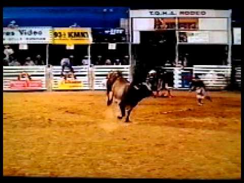 Sinbad 1998 bull wreck