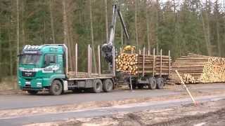 preview picture of video 'Holzverladung in Dörpen / Logging Wood in Doerpen (Germany)'