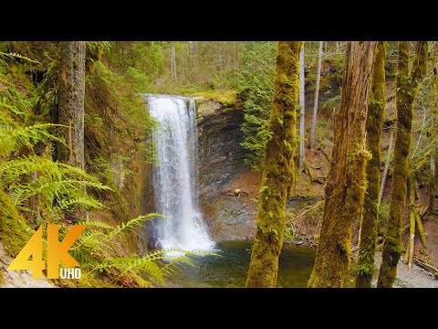 Beauty of Canadian Nature - 4K Relaxation Film - Rivers and Waterfalls of Vancouver Island - Part #6