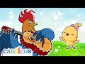 Papa Gallo Bilingual Nursery Rhymes Father S Day Speacial Canticosworld