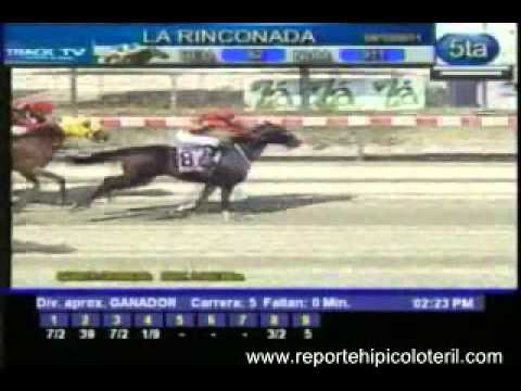Resumen Sábado 08 de Octubre de 2011 - La Rinconada