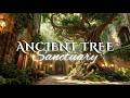 NO MID ROLL ADS Cozy Ancient Courtyard Sanctuary Fantasy Music And Ambience