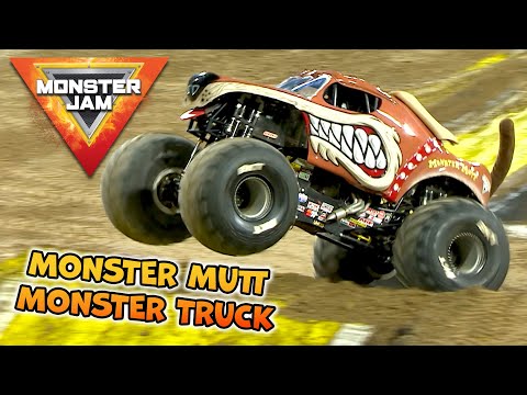 Meet MONSTER MUTT 🐶 Monster Jam's Top Dog Monster Truck! - Meet the Trucks